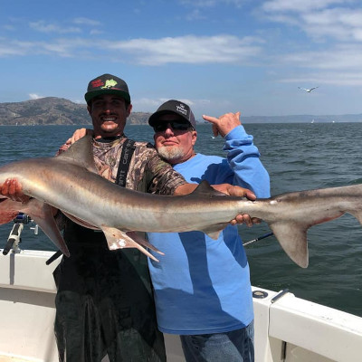 shark fishing