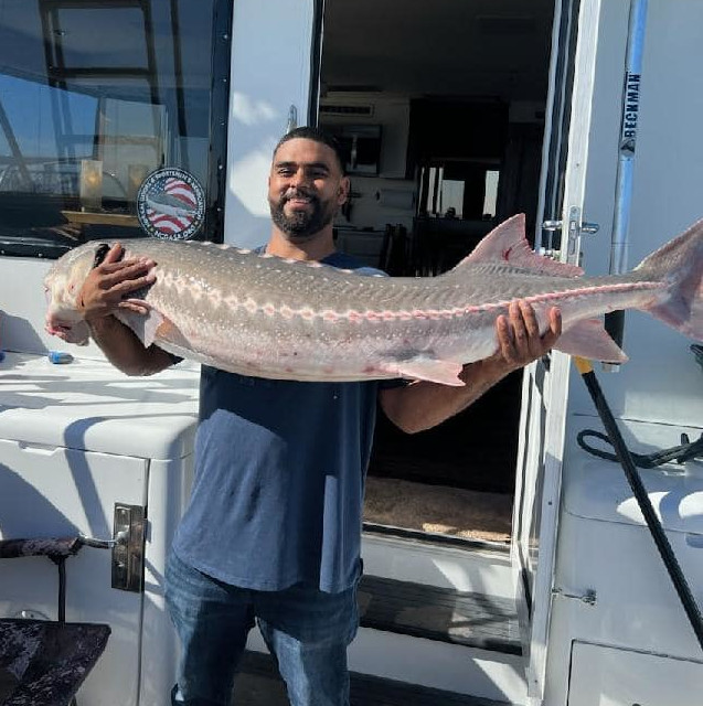 sturgeon